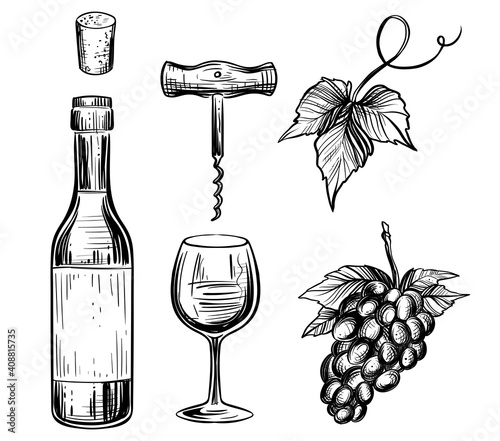 Wine set, hand drawn, monochrome vector