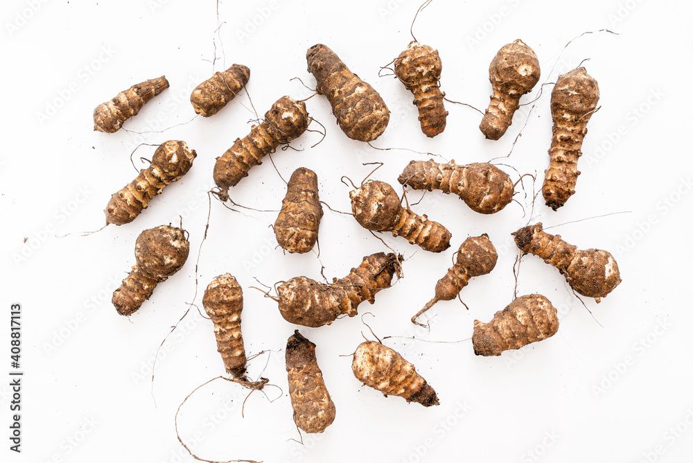 organic Jerusalem Artichokes on the white background organic Jerusalem Artichokes on the white background