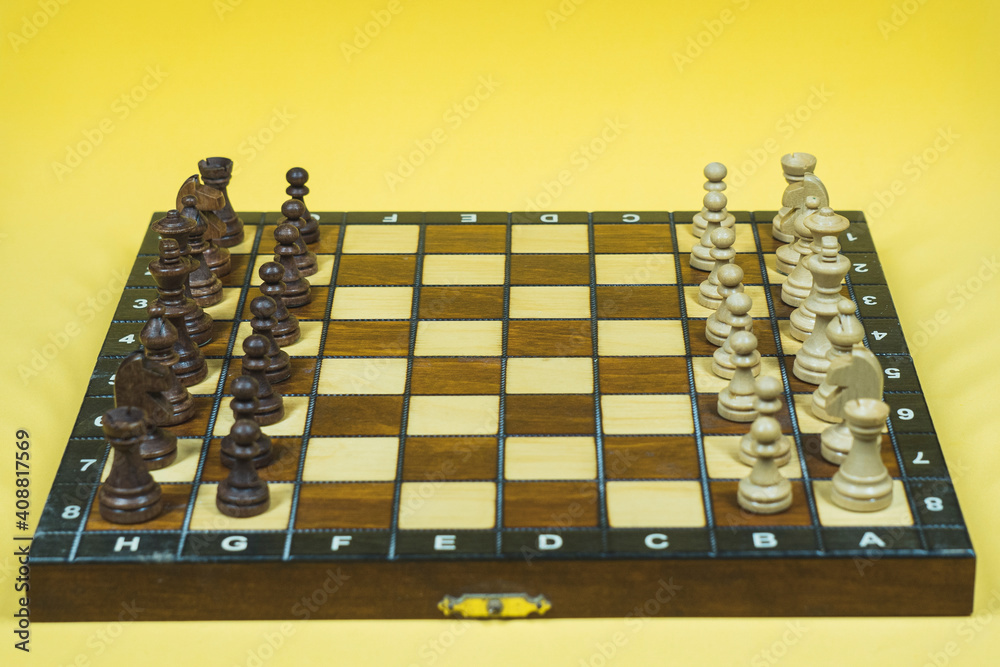 Chess board with checkers, pawns, knights, rooks, bishops, queen and kingblack and white colors Chess board with checkers, pawns, knights, rooks, bishops, queen and kingblack and white colors