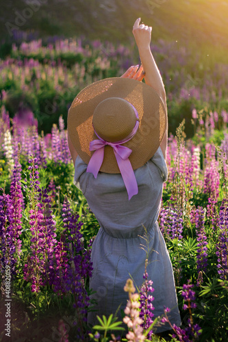 girl in the lupin flower in sun