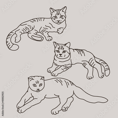  Set of cats lying in different poses. Funny pets drawn by contour lines. Vector illustration.