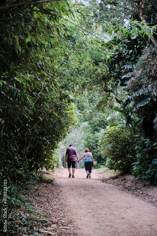 Fototapeta premium mom and dad walking between the trees