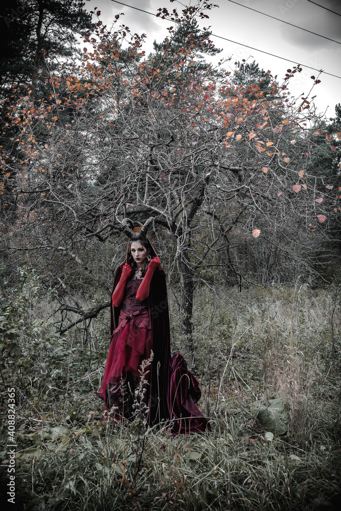 Dark fairy in the forest Dark fairy in the forest