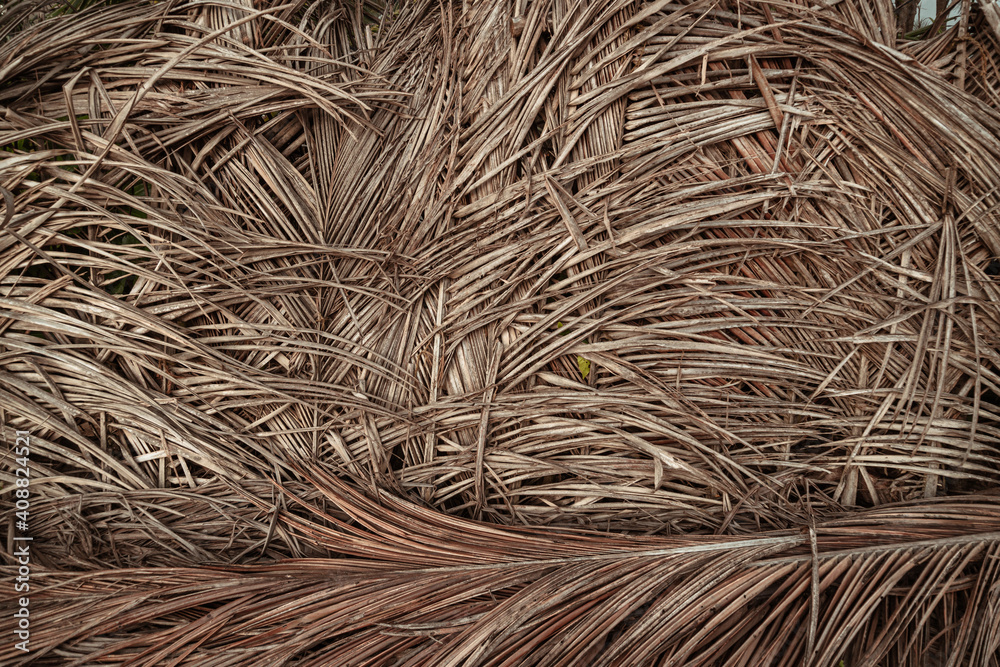 Naturalne ekologiczne tło z liści palm kokosowej, piękna tekstura jasno brązowa. - obrazy, fototapety, plakaty 
