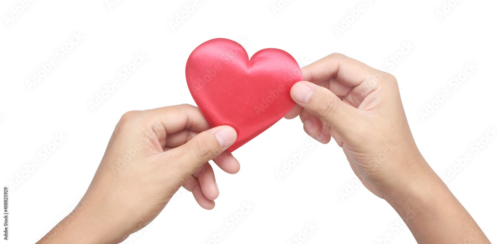 Hands holding red heart. heart health donation concepts Hands holding red heart. heart health donation concepts