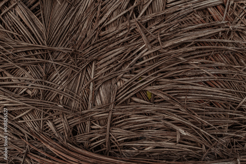 Naturalne ekologiczne tło z liści palm kokosowej, piękna tekstura jasno brązowa.