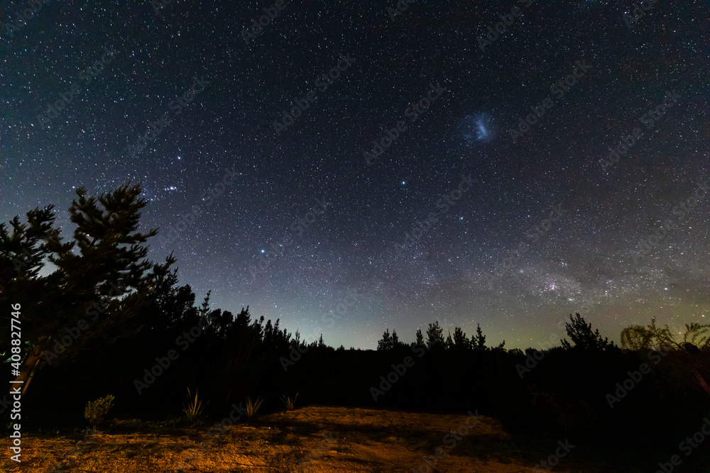 Fototapeta premium The amazing night sky full of stars. An awe scenery in the outdoors with the forest, the trees and the stars glowing in the distance. A dreamlike and colorful scenery at Puertecillo wood