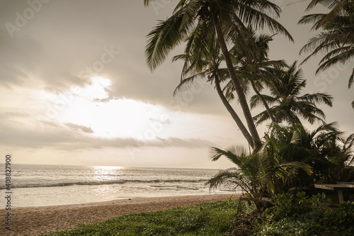 Tropikalne palmy kokosowe na tle zachodz  cego s  o  ca  pla  y i oceanu.