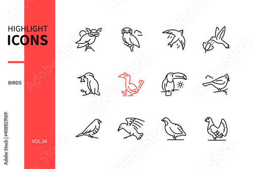 Tela Bird species - line design style icons set