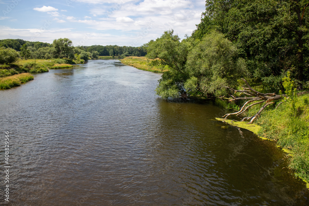 View of healthy nature on the river Mulde taken from the Mulderadweg cycle path near the city of Dessau, Germany, Europe b View of healthy nature on the river Mulde taken from the Mulderadweg cycle path near the city of Dessau, Germany, Europe b