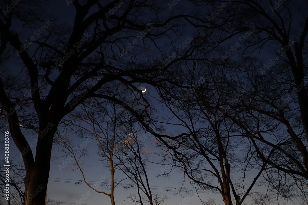 Obraz premium 夜景