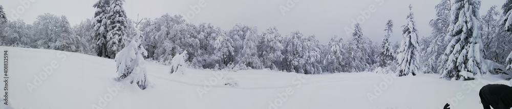Obraz premium 2/1/2021 Dans les vosges (photo prise pour moi pour financé mes études d'hotêlerie)
