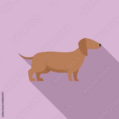 Long dog icon. Flat illustration of long dog vector icon for web design