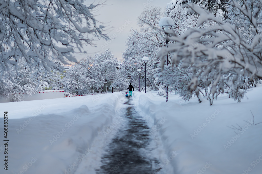 Winterlandschaft