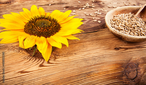 Sunflower flower on a wooden background. View from another angle in the portfolio.