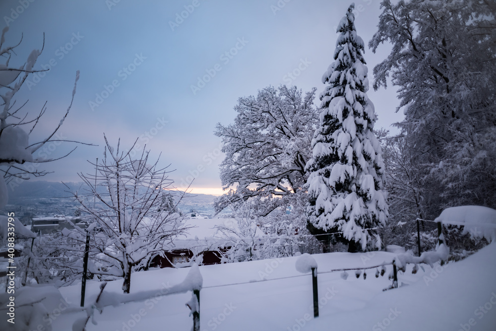 Winterlandschaft Winterlandschaft