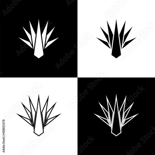 Set Agave icon isolated on black and white background. Traditional Mexican plant. Vector.