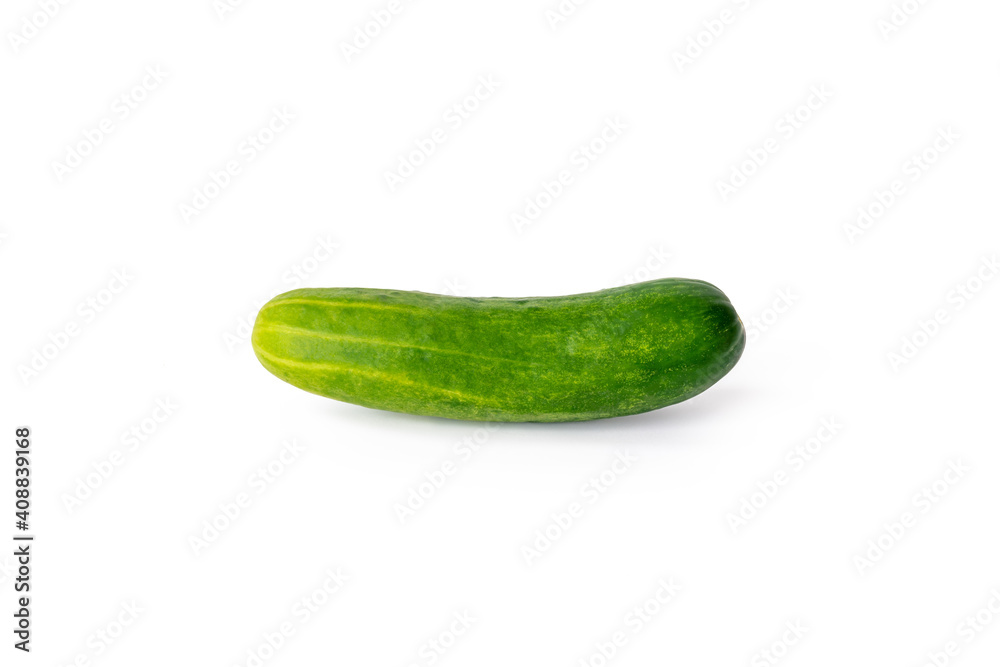 Single cucumber isolated over white background. Single cucumber isolated over white background.