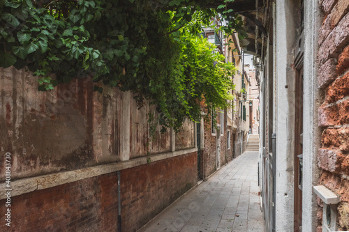 Alley between houses under green vines in Venice, Italy © Mark Zhu