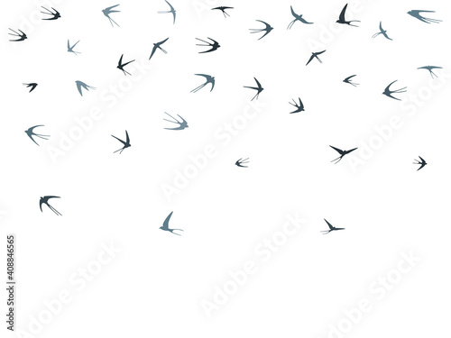 Flying swallow birds silhouettes vector illustration. Migratory martlets group isolated on white. © SunwArt