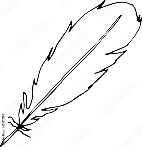Vector illustration of a pen. Isolated image of a parrot feather. Black and white feather in doodle style.