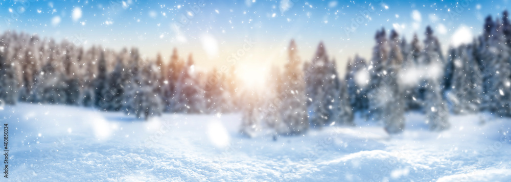 Winter landscape background and snow, frost wide panorama with free space for your text