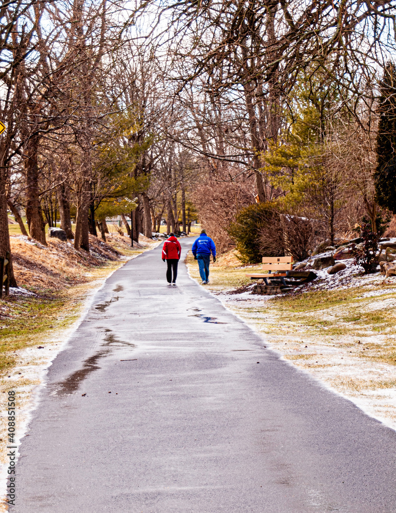 Fototapeta premium walk in the park