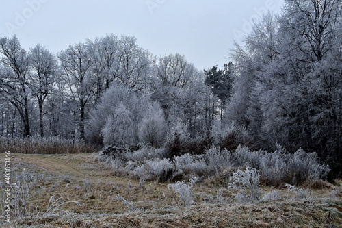 Wallpaper Mural Bezaubernde Raureiflandschaft Torontodigital.ca