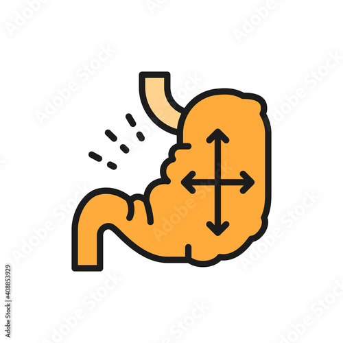 Vector distended stomach, abdominal distension flat color line icon.