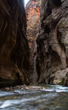 Narrows of the Virgin river. Highest wall in the Zion