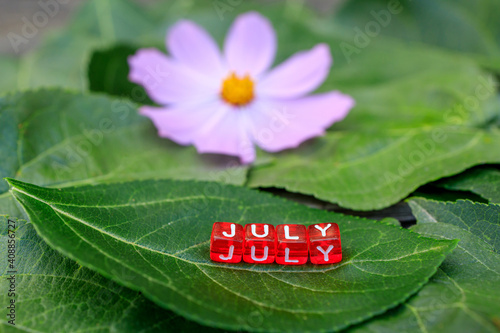 red cubes that make up the word July are on a green sheet. back ofn lilac flower photo