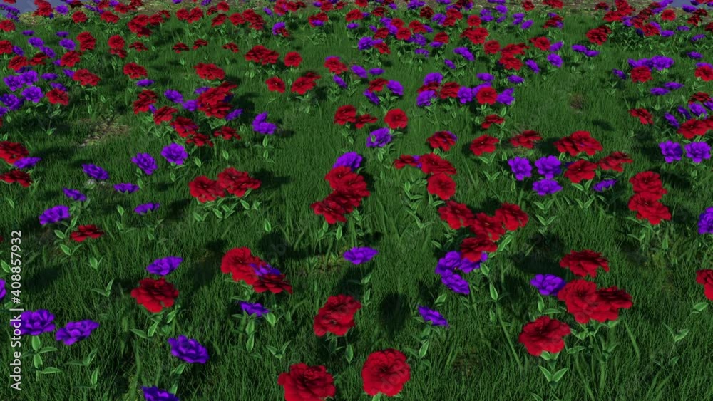 jardín de rosas rojas y violetas moviendose con el viento, vista desde arriba, render 3d