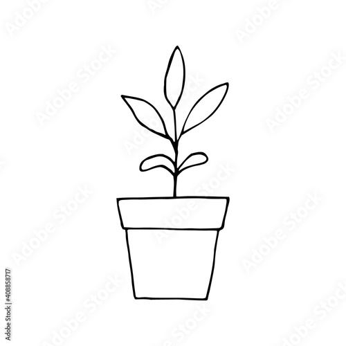 sprout in a flower pot icon, sticker. sketch hand drawn doodle style. vector monochrome minimalism. seedling, spring, plant, horticulture, garden, ecology.