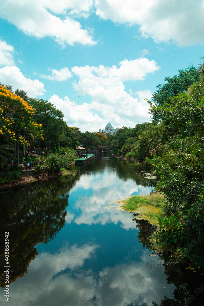 river in the forest