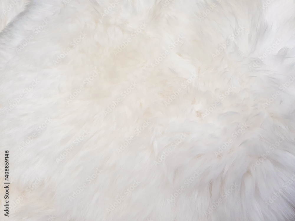 white wool texture background. Faux fur. Texture of white fluffy fur, close up of a long wool carpet. Top view