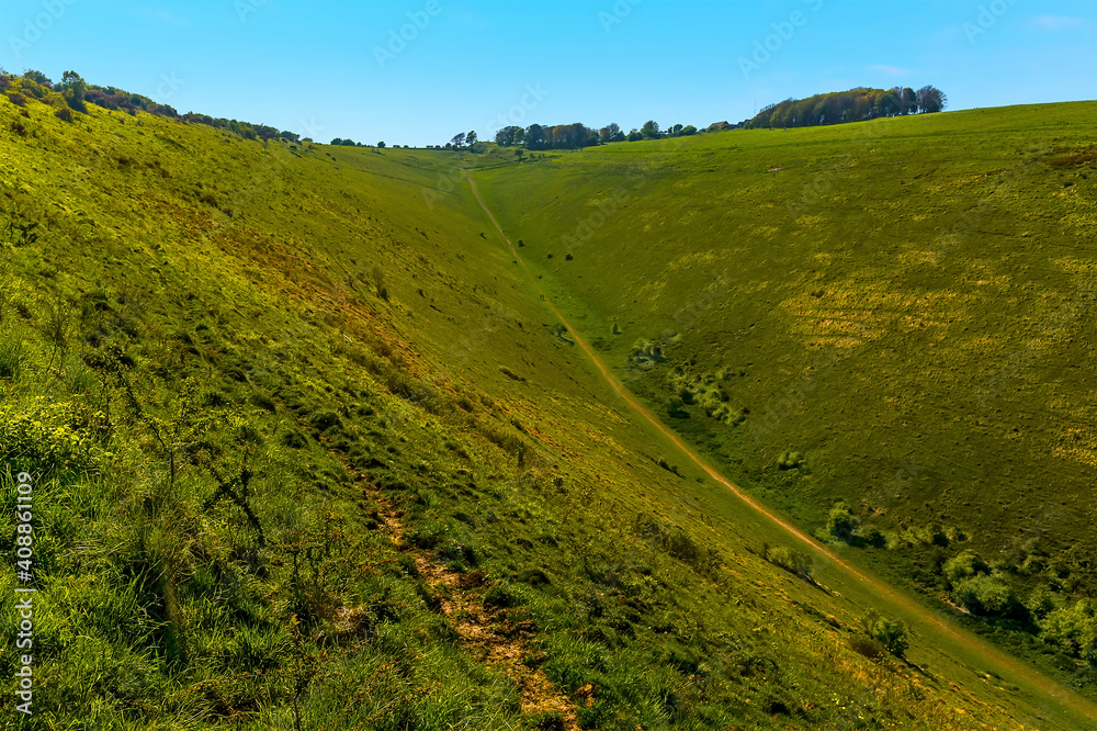 Obraz premium A view of the path leading up to the head of the longest dry valley in the UK on the South Downs near Brighton in springtime