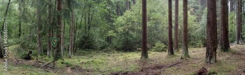 Forest with nature protection shield in germany