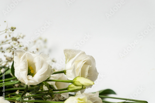 beautiful eustoma flowers isolated on white background