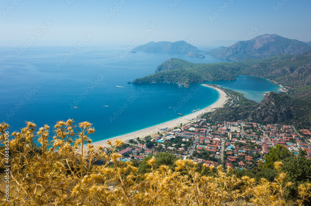 View of Oludeniz beach and Blue Lagoon from Lycian Way hiking trail, Mediterranean coast in Turkey. Dry golden color thistle on foreground, Sunny day