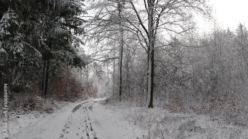 A beautiful chilling view of car trails surrounded by snow-covered trees in 4K photo