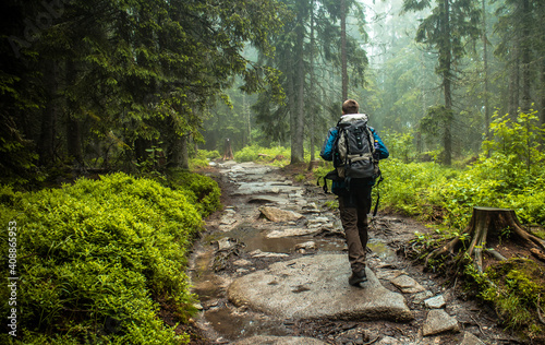 Hiker walking in rainy weather through forest