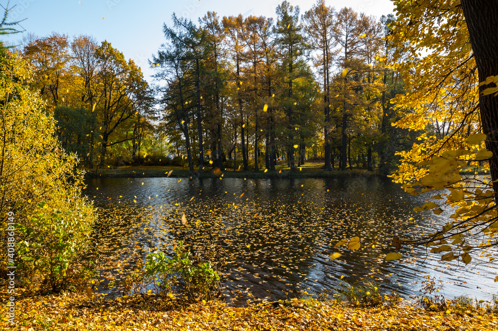 View of city park in autumn