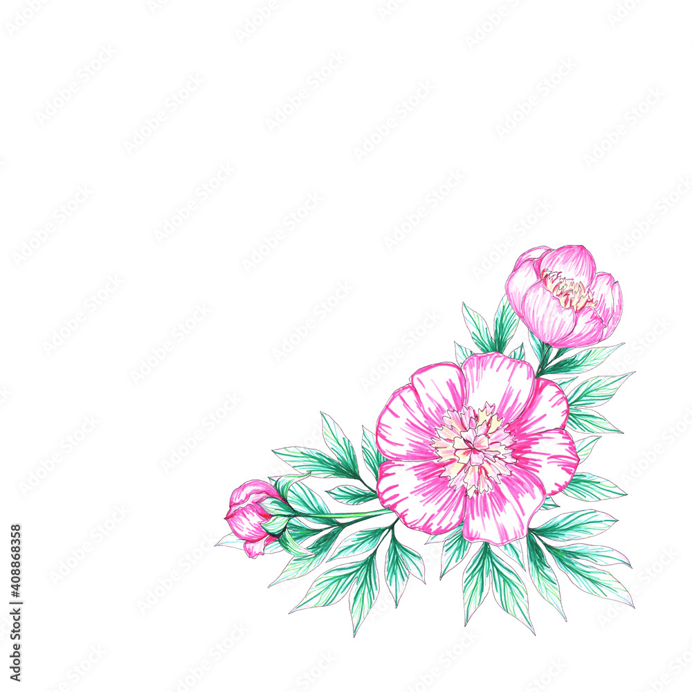 Peony flowers bouquet frame template. Corner frame illustration felt tip pen sketch.