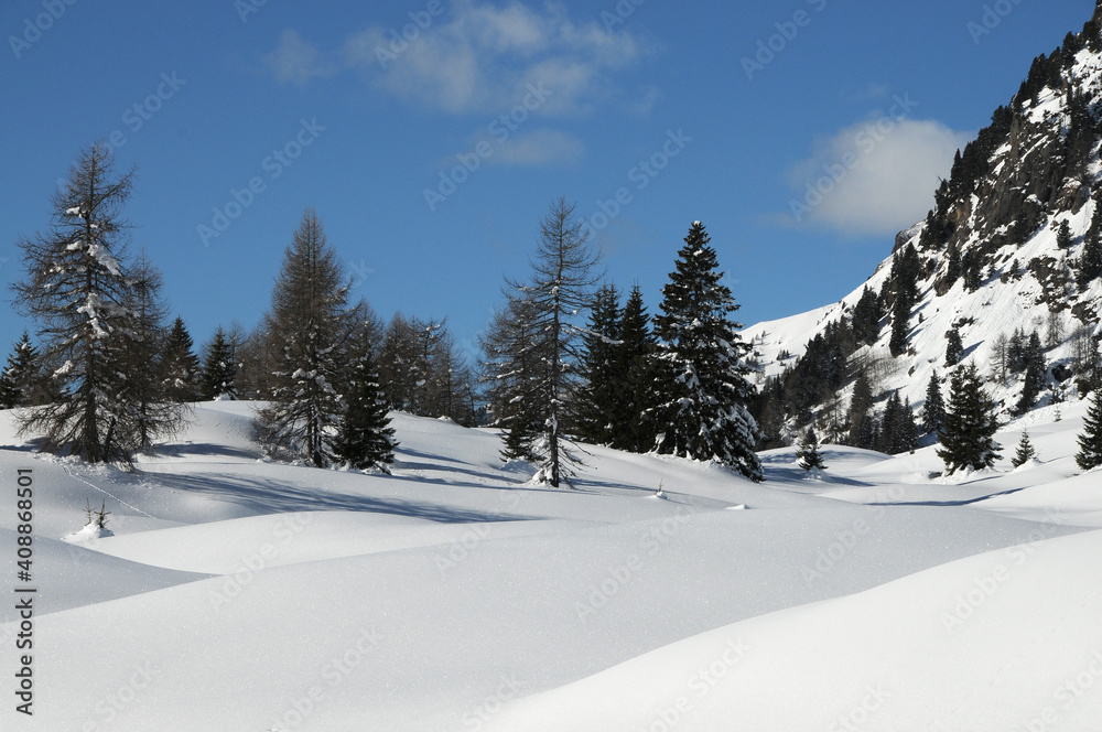 Beautiful snowy winter landscape at the San Pellegrino Pass in Val di Fiemme. South Tirol in Italy.