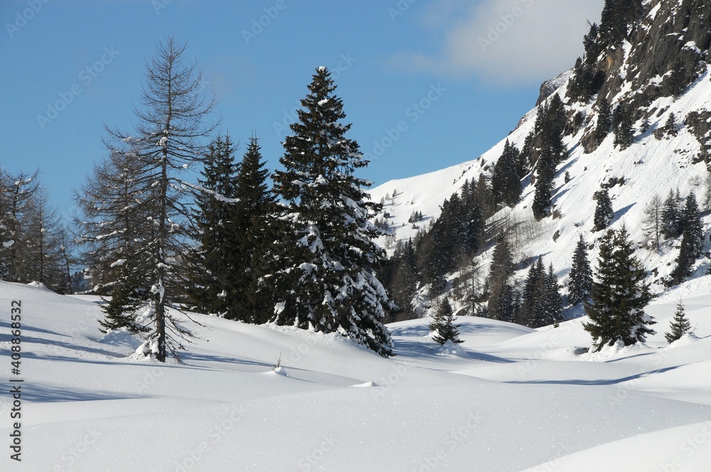 Beautiful snowy winter landscape at the San Pellegrino Pass in Val di Fiemme. South Tirol in Italy.