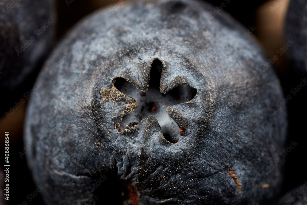 macro photography blueberry very close macro photography blueberry very close