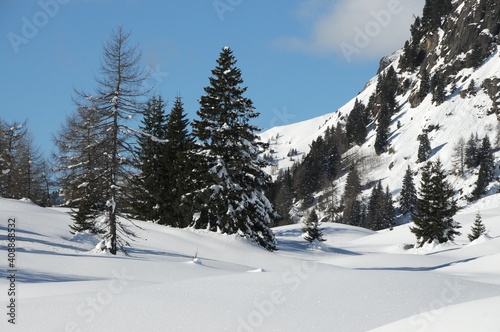 Beautiful snowy winter landscape at the San Pellegrino Pass in Val di Fiemme. South Tirol in Italy. © Dan74