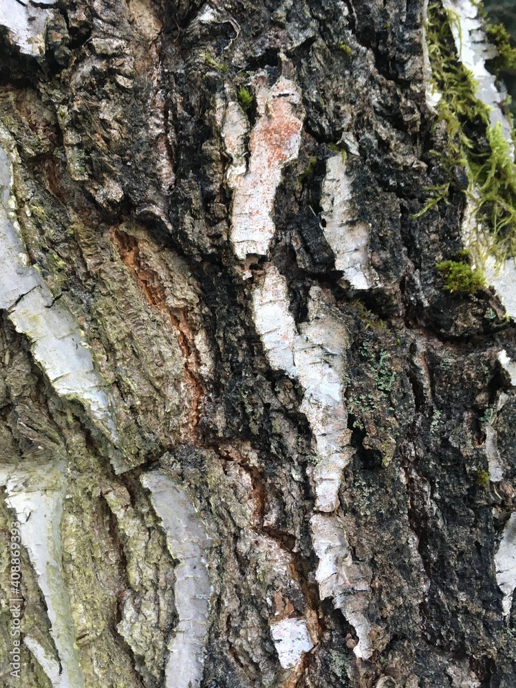 texture