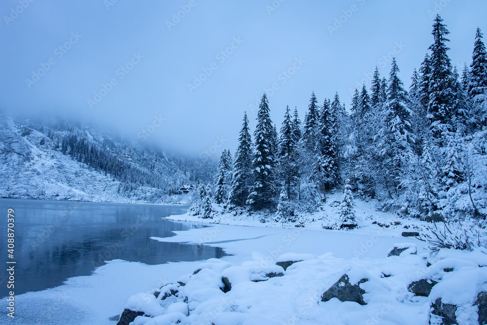 Fir trees in mountains near icy lake. Fog in winter mountains. Winter nature landscape. Amazing view on ice mountain lake