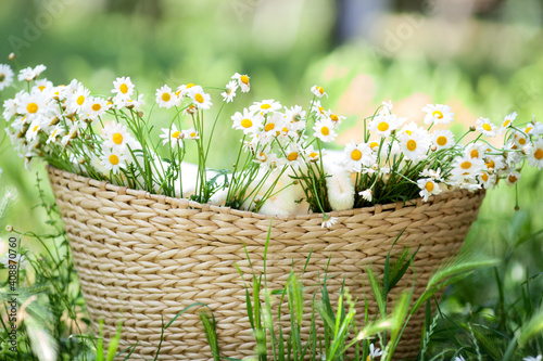 spring flowers in a basket
